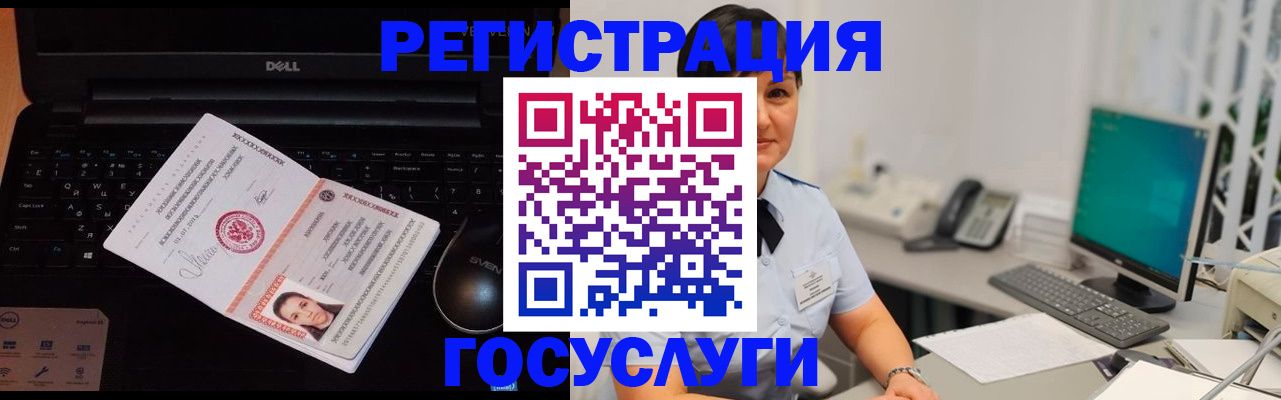 временная регистрация поиск в Камчатской области